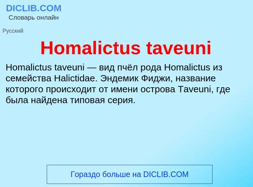 What is Homalictus taveuni - meaning and definition