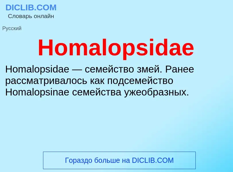 What is Homalopsidae - meaning and definition