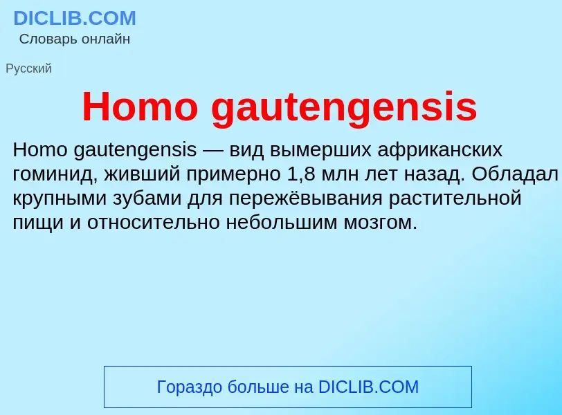 What is Homo gautengensis - meaning and definition