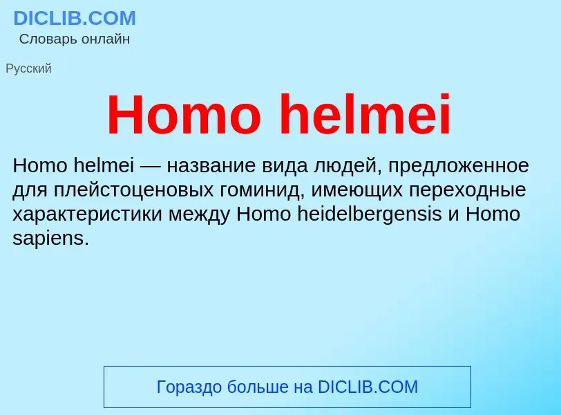 What is Homo helmei - meaning and definition