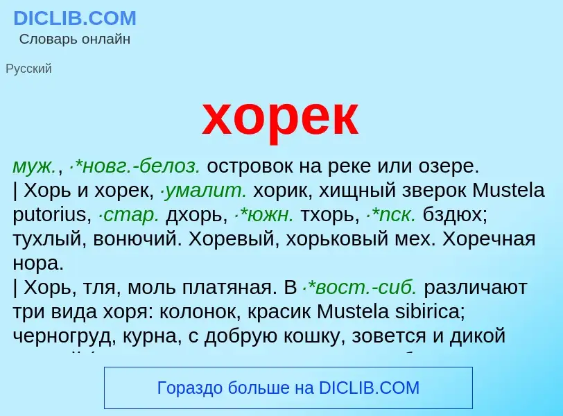 What is хорек - meaning and definition