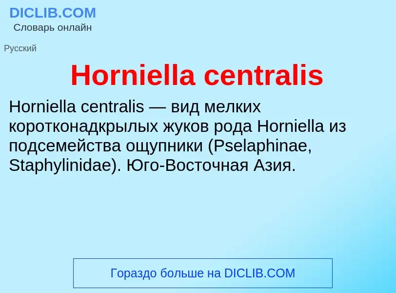 What is Horniella centralis - definition