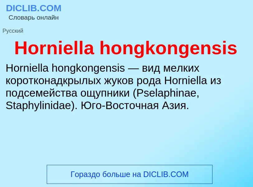 What is Horniella hongkongensis - definition