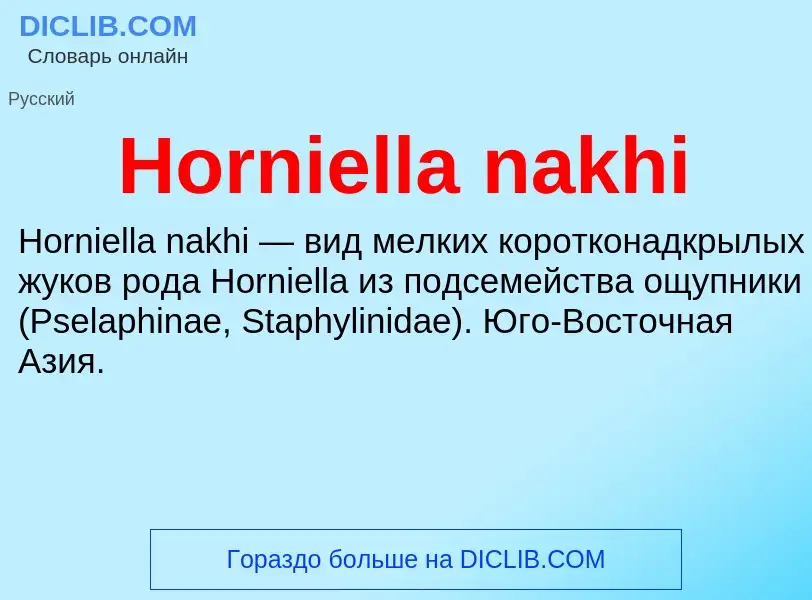 What is Horniella nakhi - definition