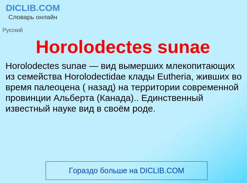 What is Horolodectes sunae - definition