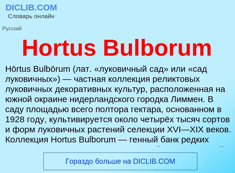 What is Hortus Bulborum - definition