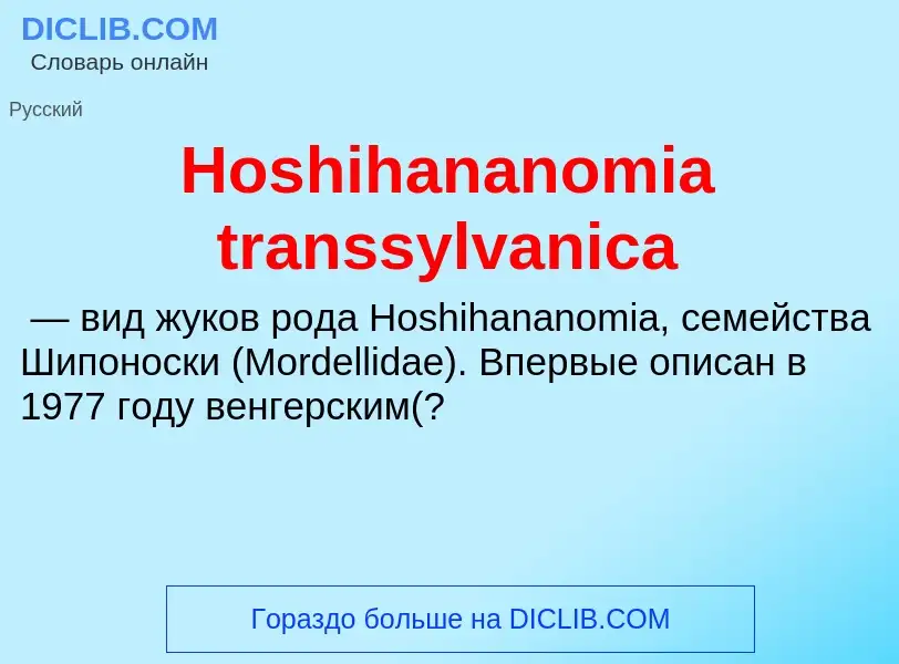 What is Hoshihananomia transsylvanica - definition