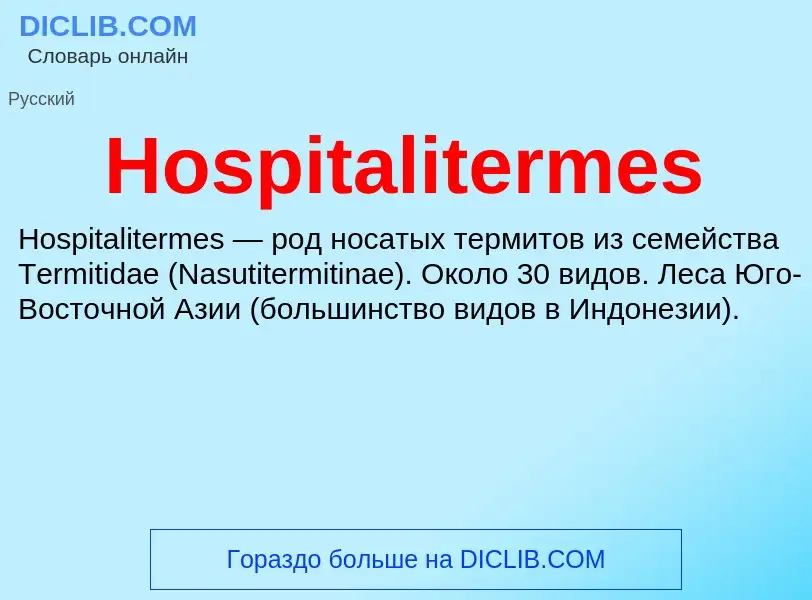 Was ist Hospitalitermes - Definition