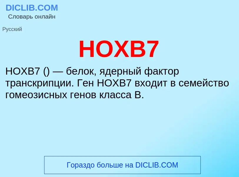 What is HOXB7 - definition