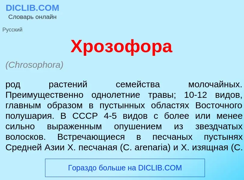 Wat is Хрозоф<font color="red">о</font>ра - definition