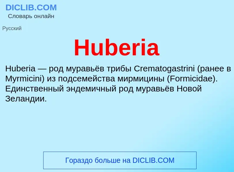 What is Huberia - meaning and definition