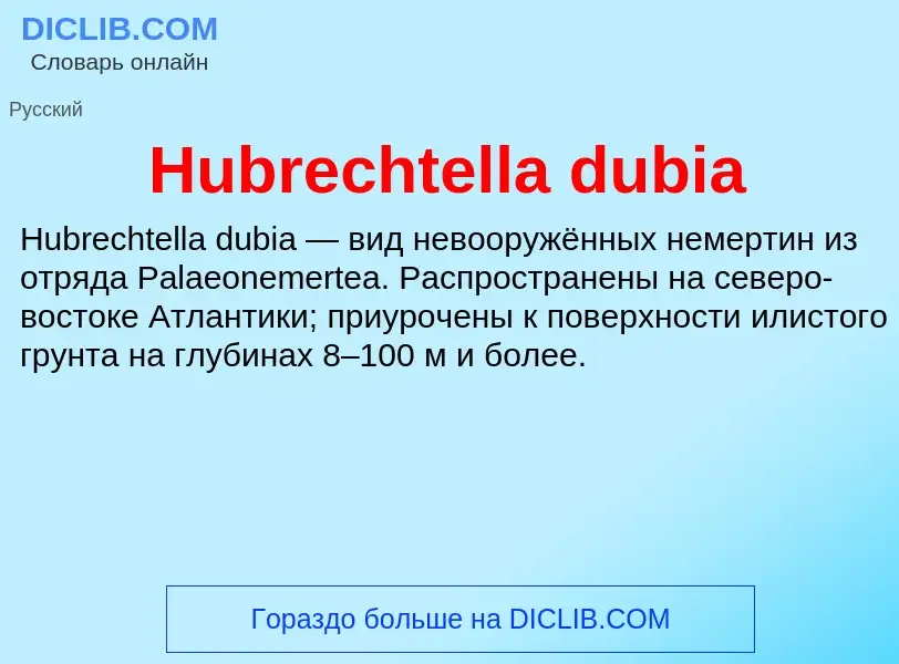 What is Hubrechtella dubia - definition