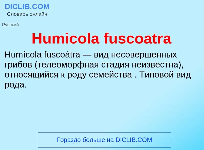 Was ist Humicola fuscoatra - Definition