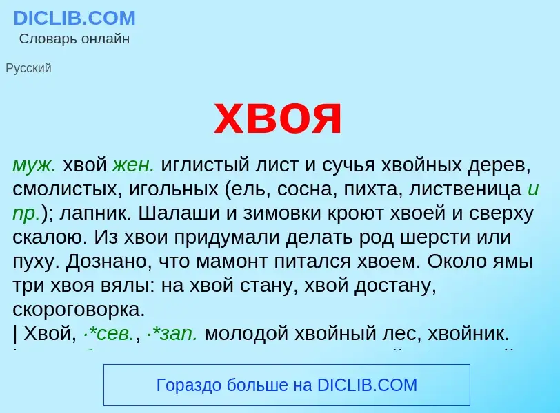 What is хвоя - definition