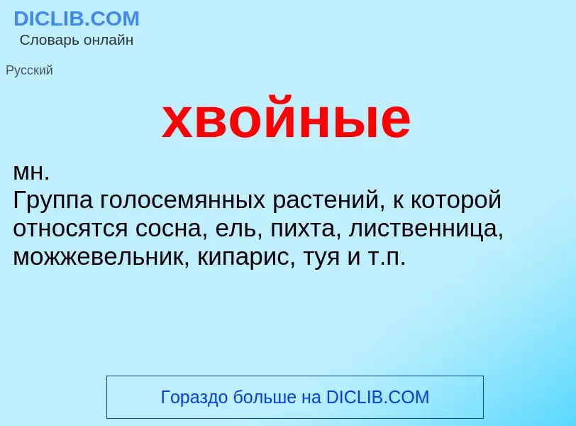 What is хвойные - definition