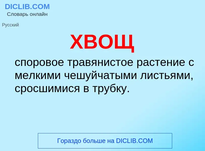 O que é ХВОЩ - definição, significado, conceito