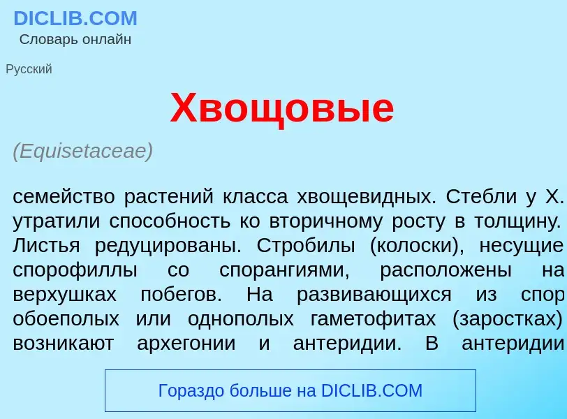 O que é Хвощ<font color="red">о</font>вые - definição, significado, conceito