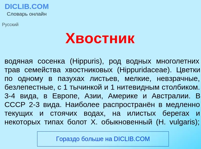 Wat is Хв<font color="red">о</font>стник - definition