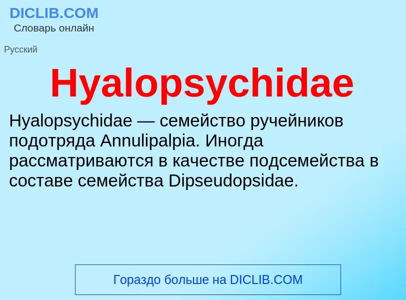 What is Hyalopsychidae - definition