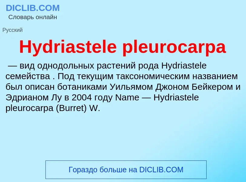 What is Hydriastele pleurocarpa - definition