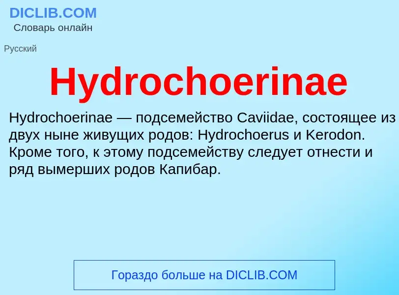 Что такое Hydrochoerinae - определение