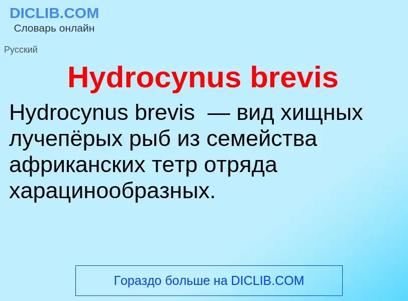 What is Hydrocynus brevis - meaning and definition