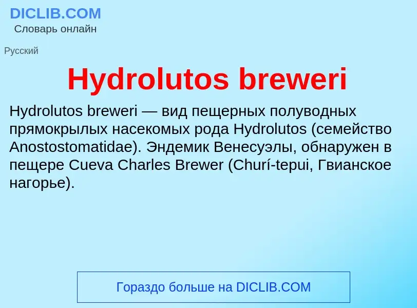 Was ist Hydrolutos breweri - Definition