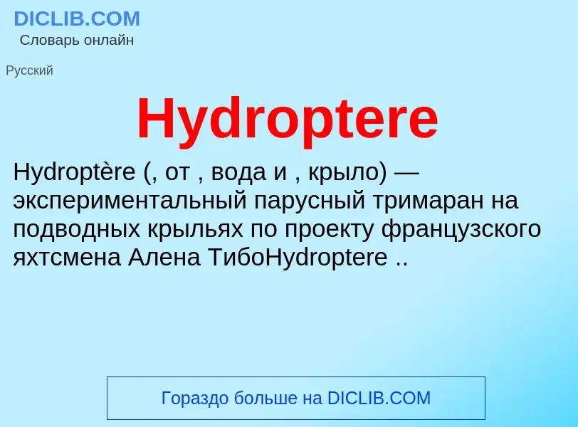 Что такое Hydroptere - определение