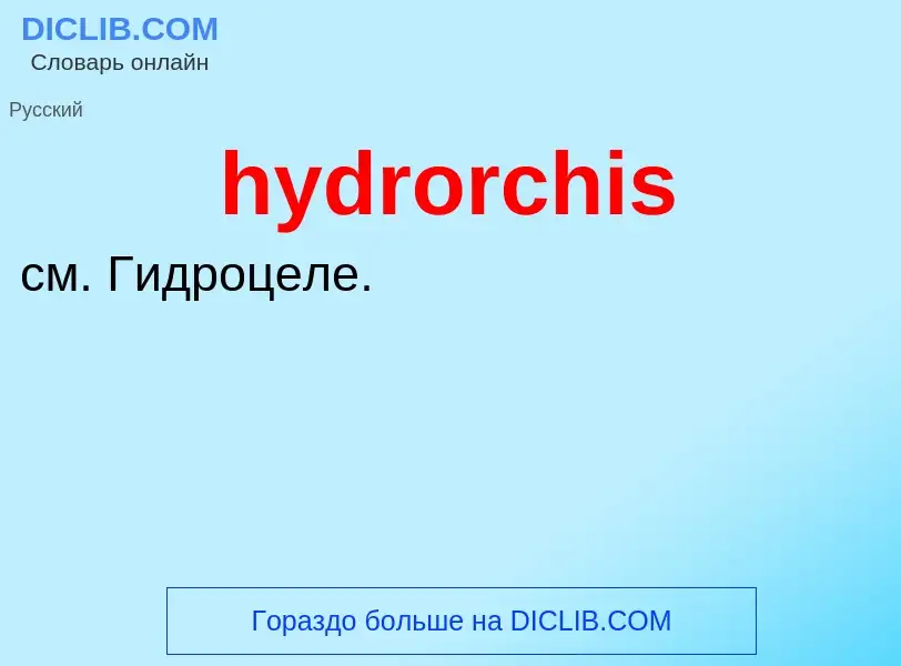 Что такое hydrorchis - определение