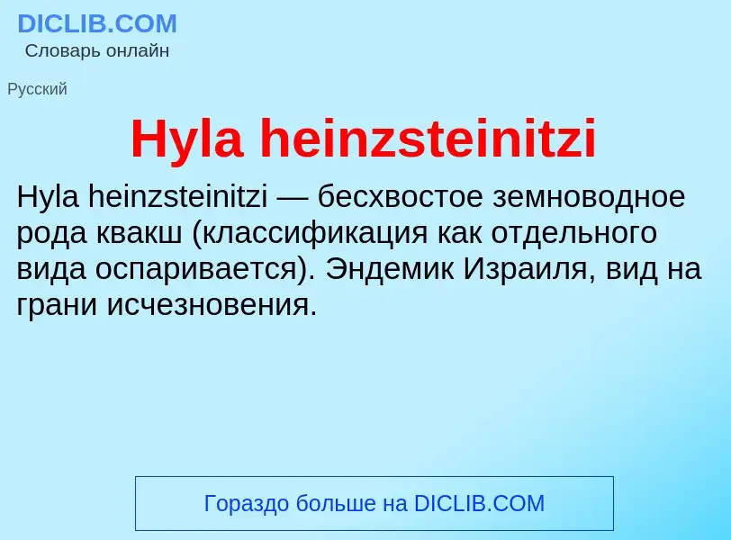 What is Hyla heinzsteinitzi - meaning and definition