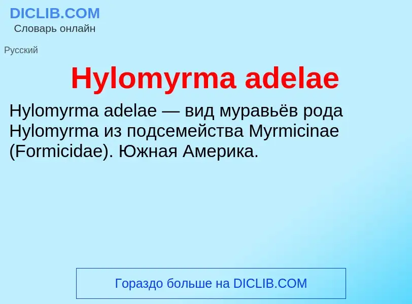 Was ist Hylomyrma adelae - Definition