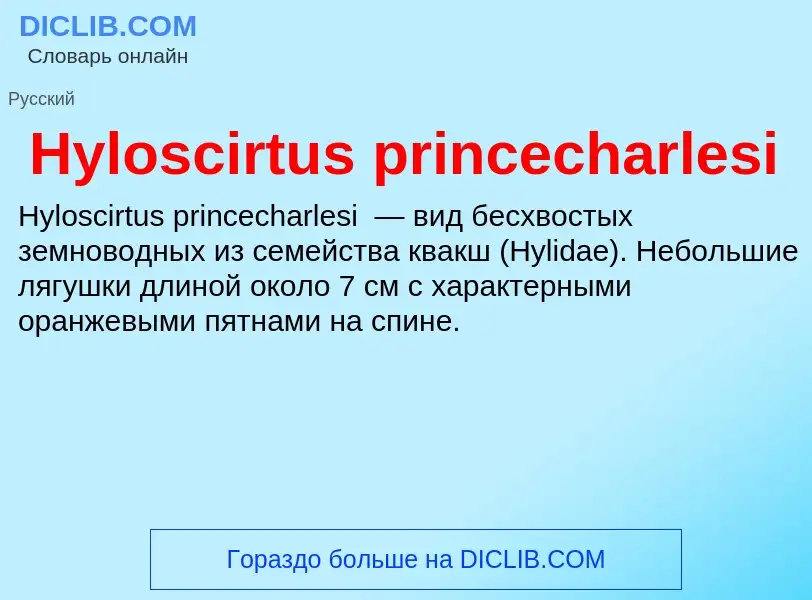 Что такое Hyloscirtus princecharlesi - определение