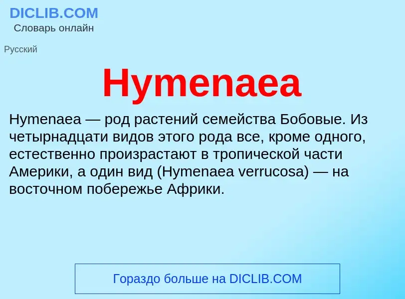 Was ist Hymenaea - Definition