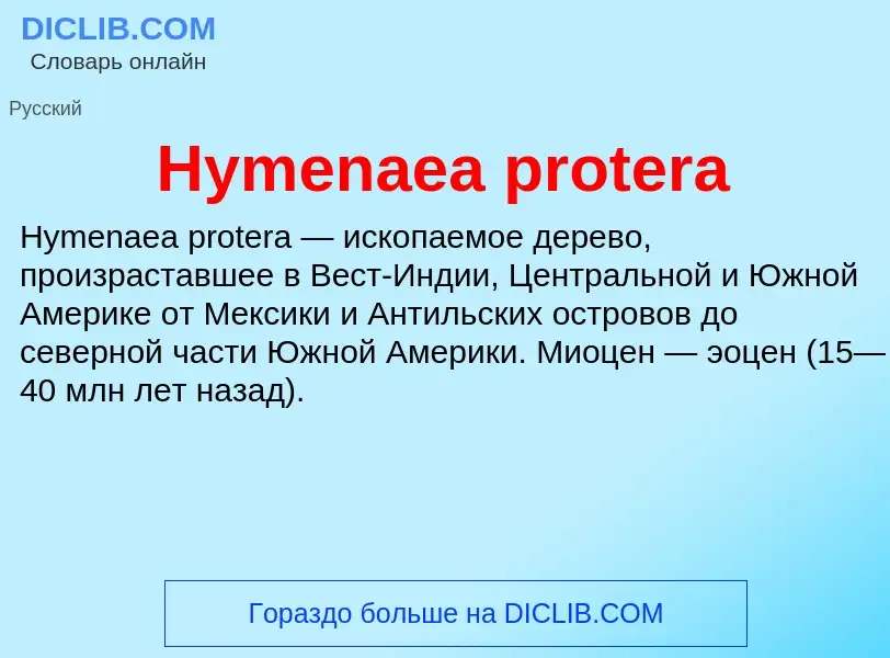 Was ist Hymenaea protera - Definition