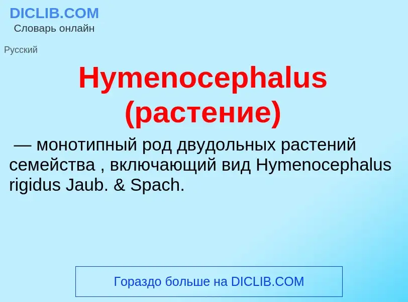 Что такое Hymenocephalus (растение) - определение