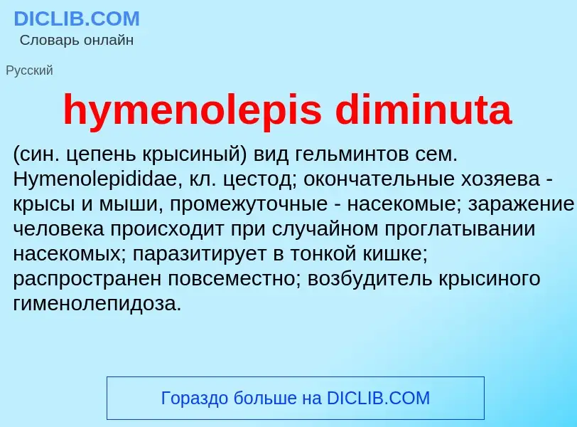 Что такое hymenolepis diminuta  - определение