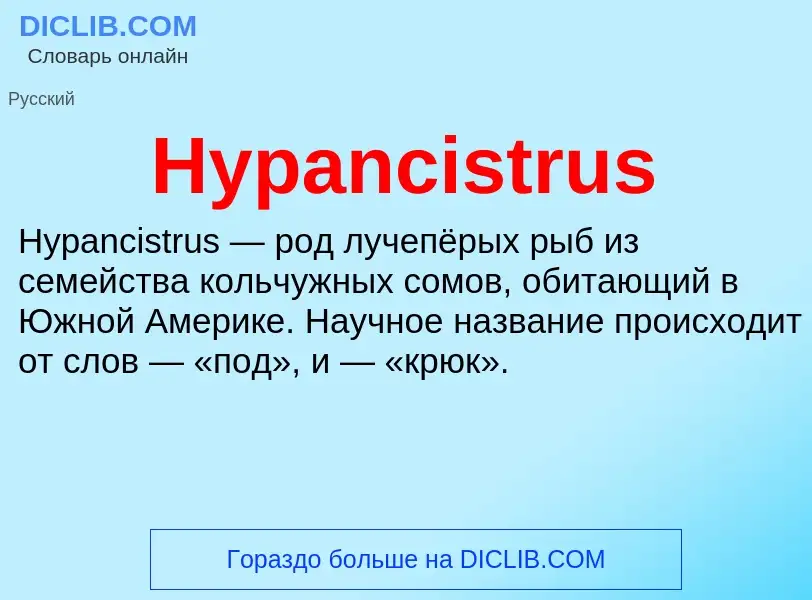 Что такое Hypancistrus - определение