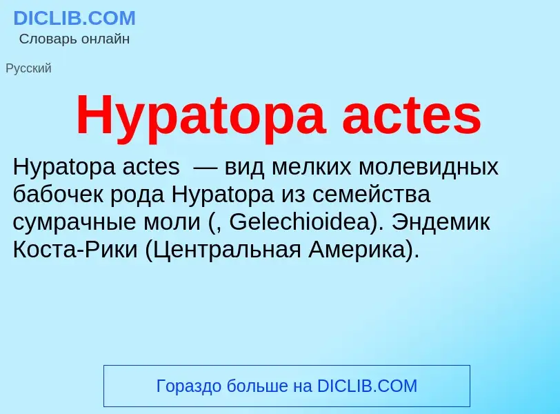 Что такое Hypatopa actes - определение