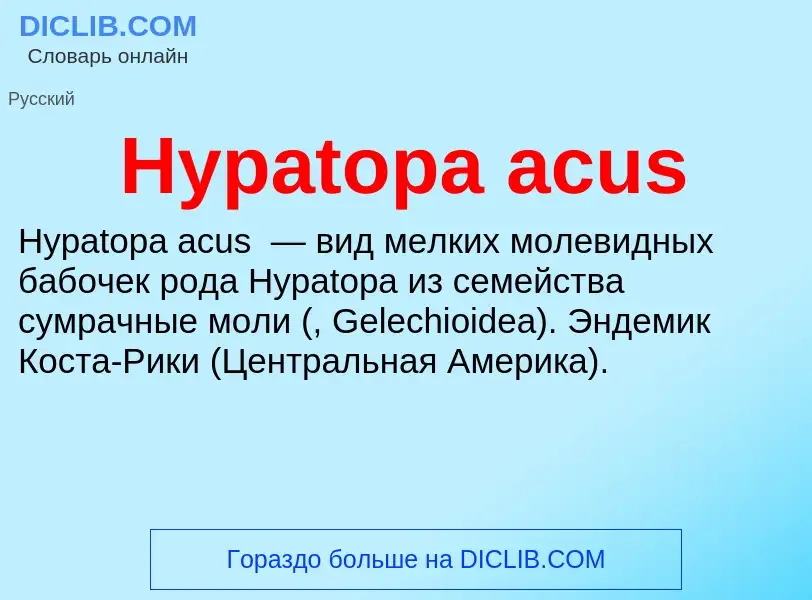 Was ist Hypatopa acus - Definition