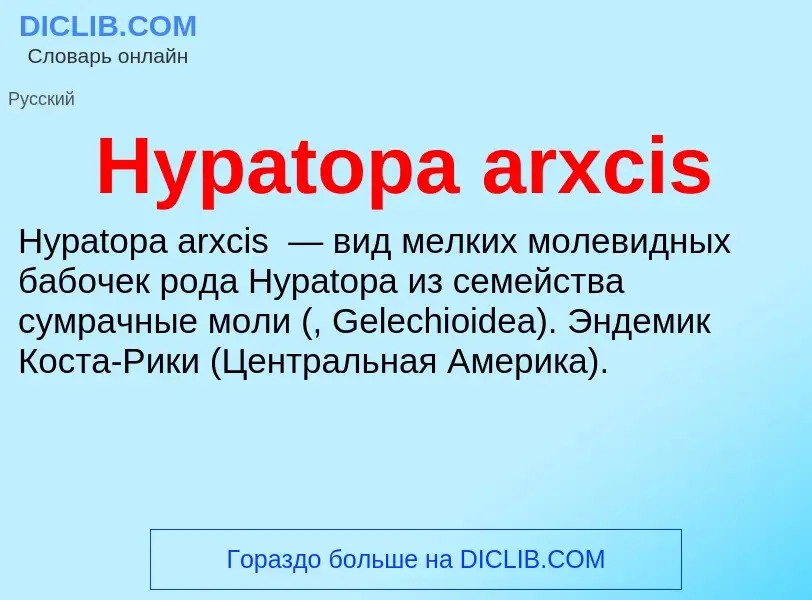 Что такое Hypatopa arxcis - определение