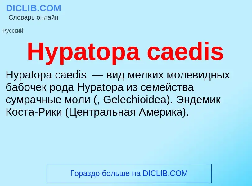 Что такое Hypatopa caedis - определение