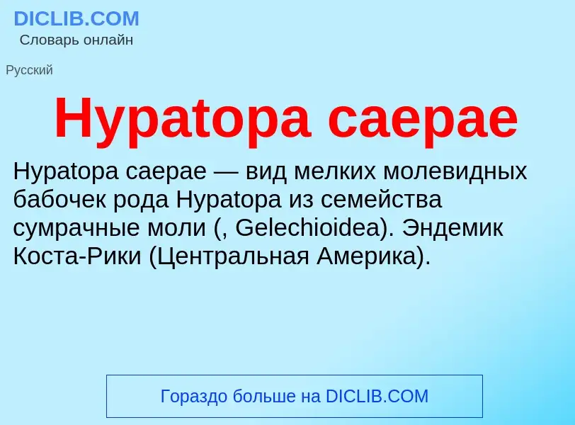 ¿Qué es Hypatopa caepae? - significado y definición