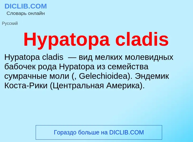 Что такое Hypatopa cladis - определение