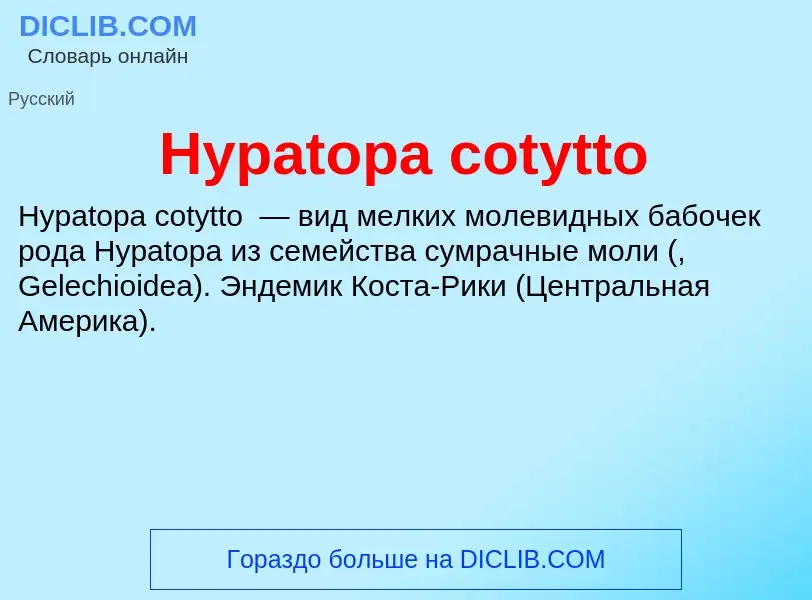 Was ist Hypatopa cotytto - Definition