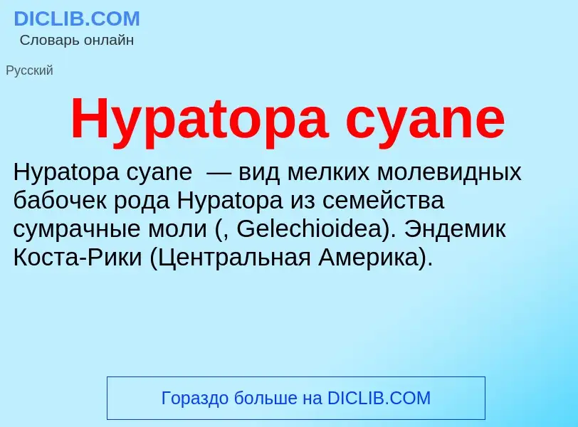 Что такое Hypatopa cyane - определение