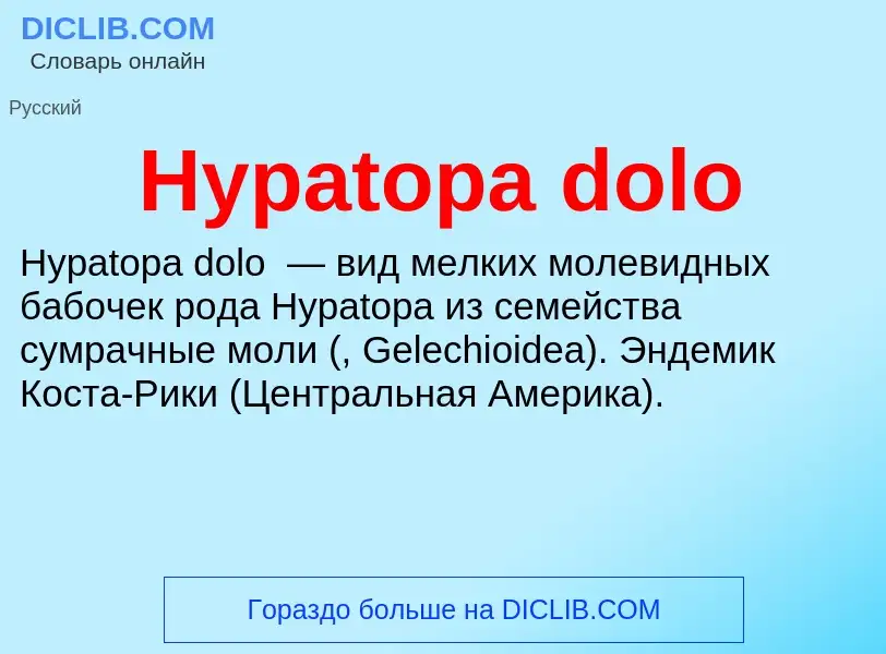 Что такое Hypatopa dolo - определение