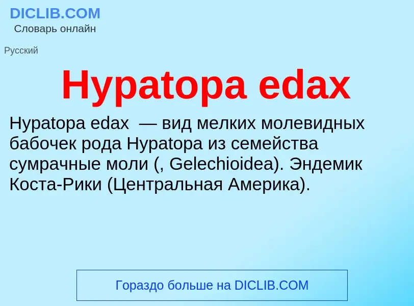 Was ist Hypatopa edax - Definition