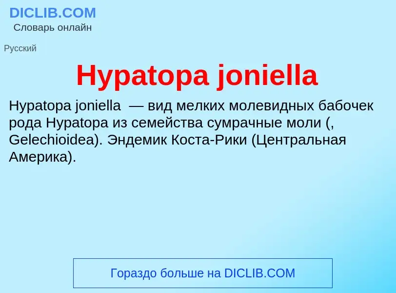 Что такое Hypatopa joniella - определение