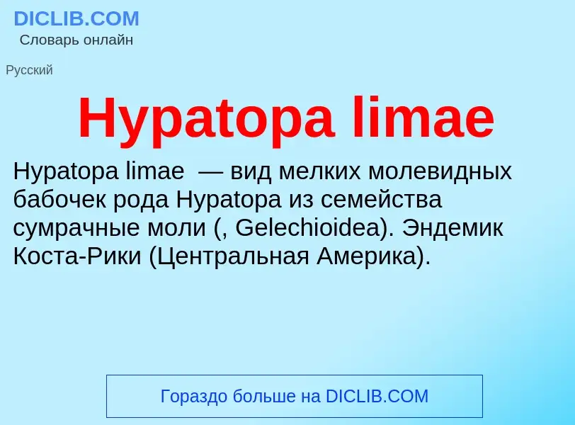 Что такое Hypatopa limae - определение