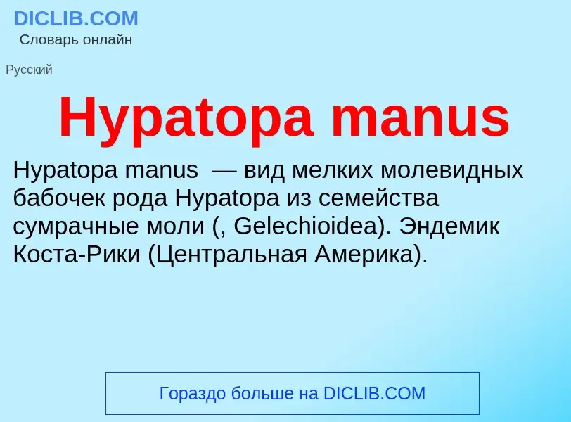 Что такое Hypatopa manus - определение